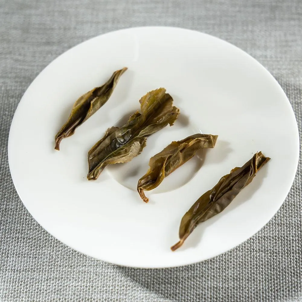 10 Years Aged Iceland Raw Pu'er Tea十年冰岛生茶 40g Box[PT01]
