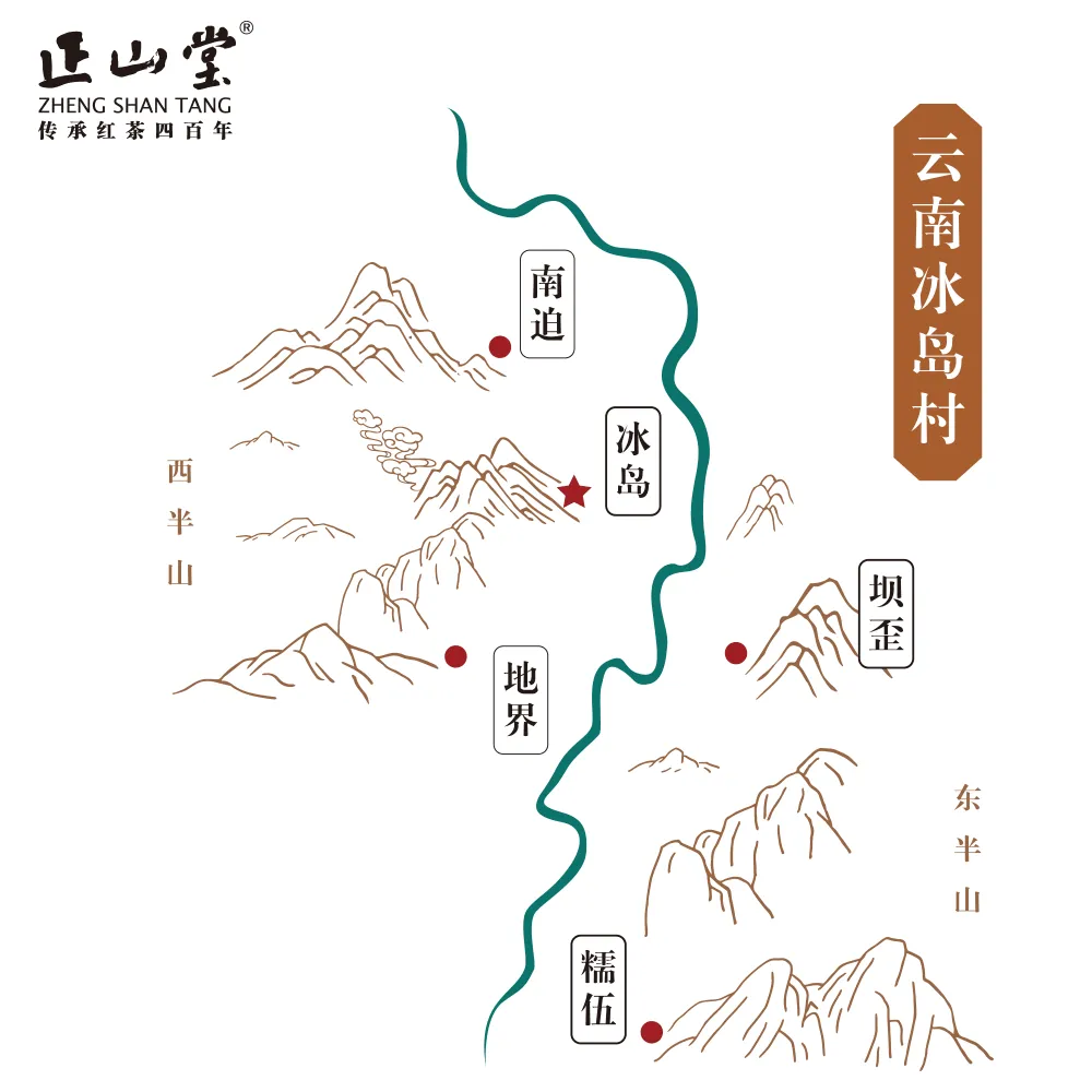 10 Years Aged Iceland Raw Pu'er Tea十年冰岛生茶 40g Box[PT01]