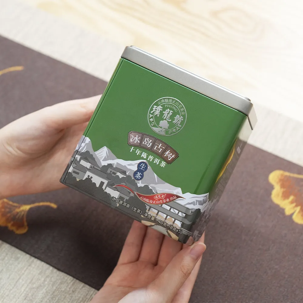 10 Years Aged Iceland Raw Pu'er Tea十年冰岛生茶 40g Box[PT01]
