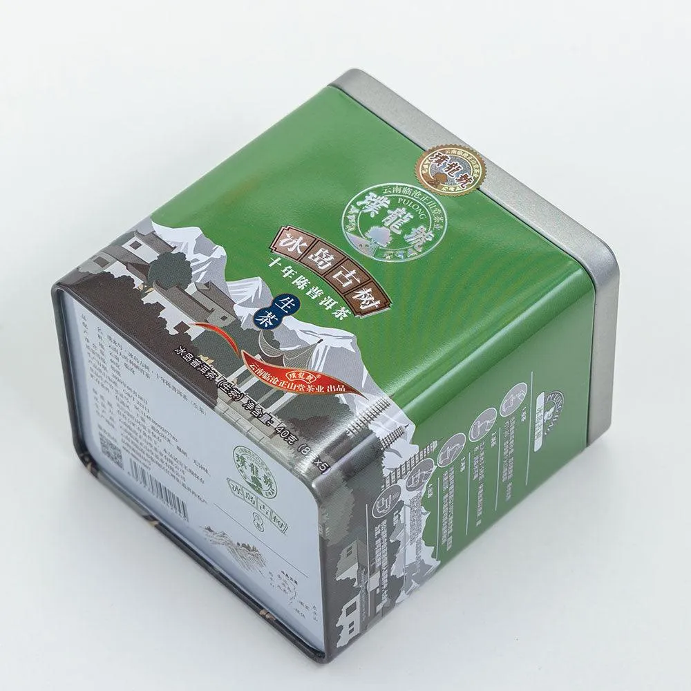 10 Years Aged Iceland Raw Pu'er Tea十年冰岛生茶 40g Box[PT01]
