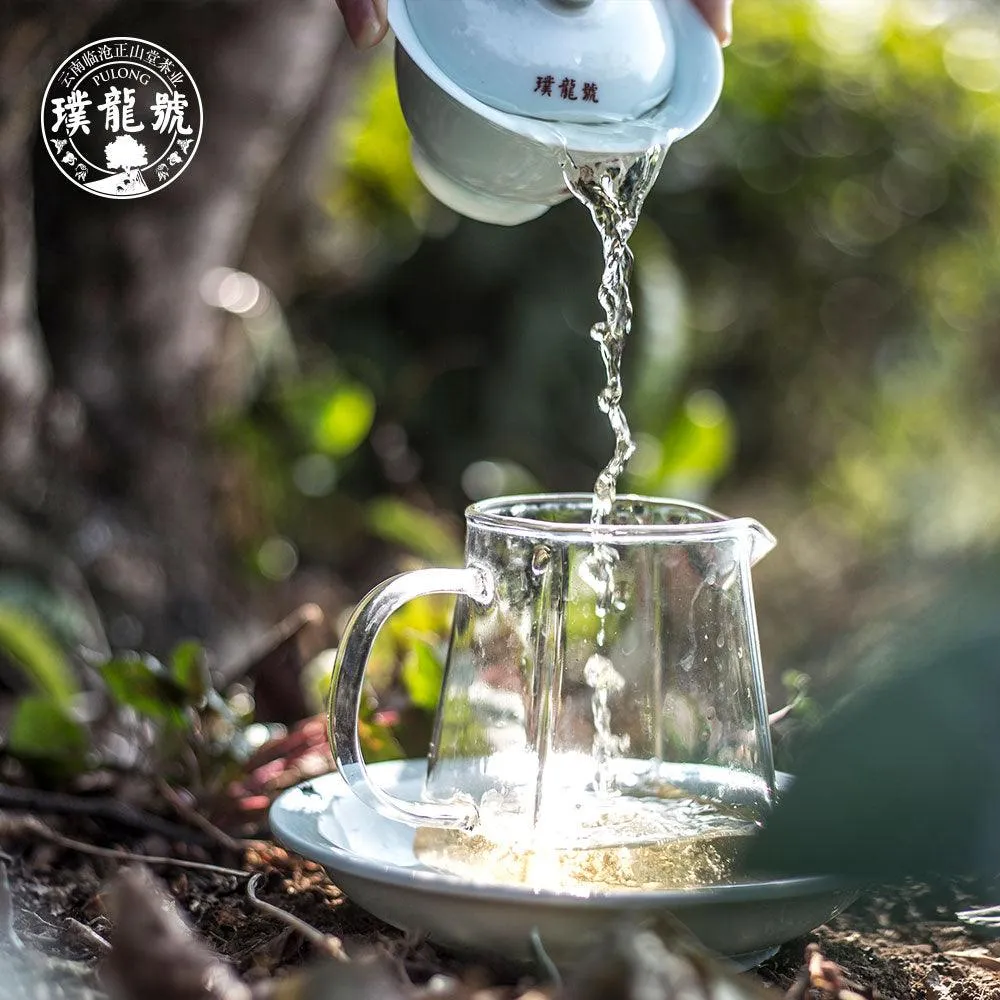 10 Years Aged Iceland Raw Pu'er Tea十年冰岛生茶 40g Box[PT01]