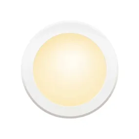 BioLight™ Downlight - Full Spectrum Light