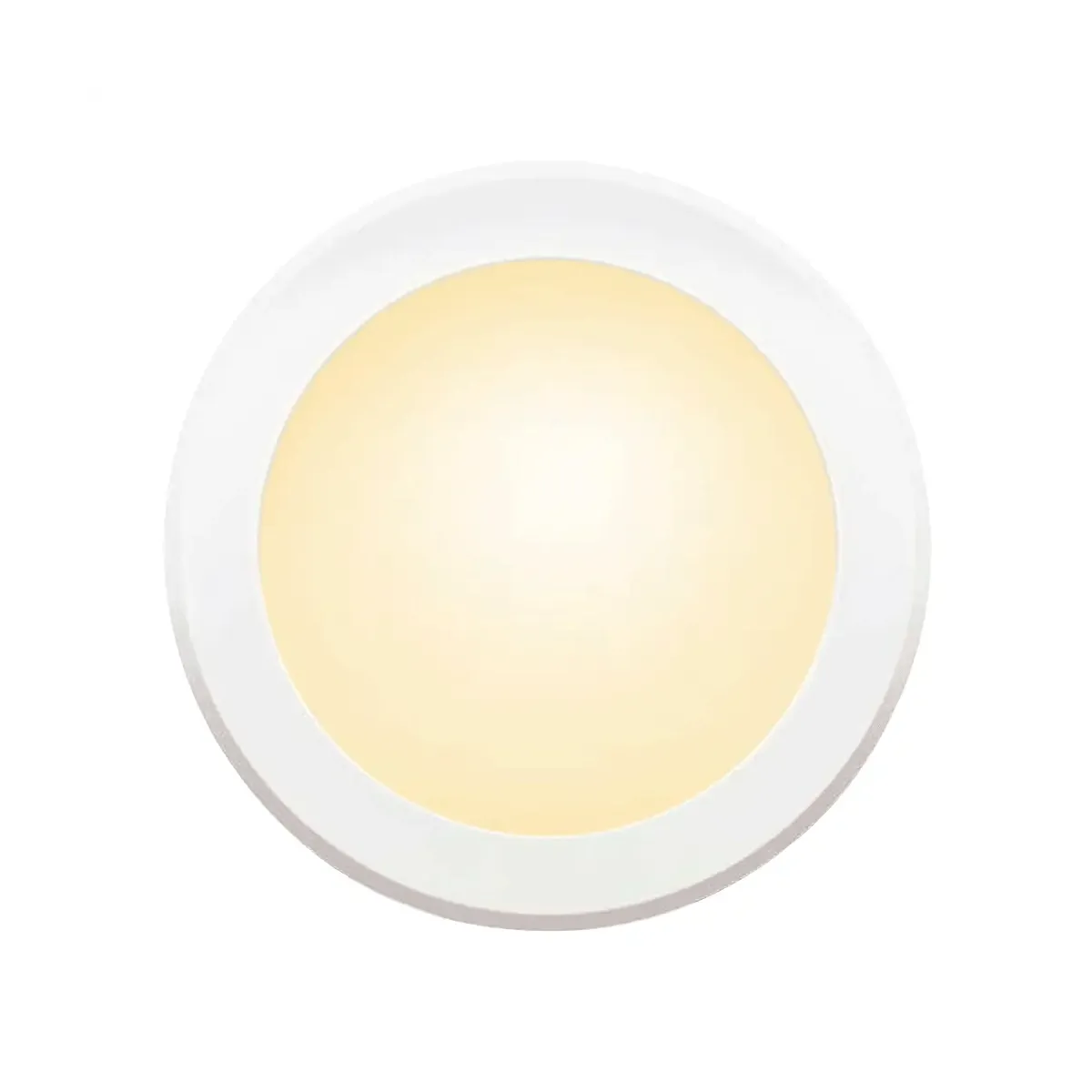 BioLight™ Downlight - Full Spectrum Light