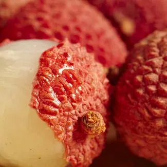 BOIRON Frozen Fruit Puree, Lychee