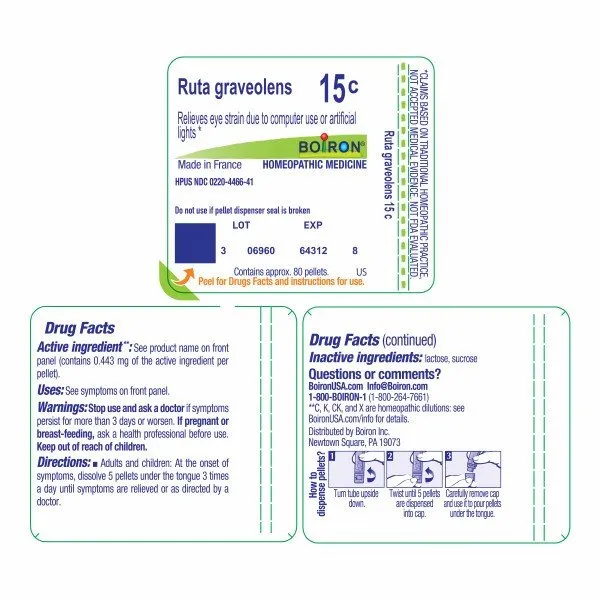 Boiron Ruta Graveolens 15C Homeopathic Single Medicine For Pain 80 Pellet