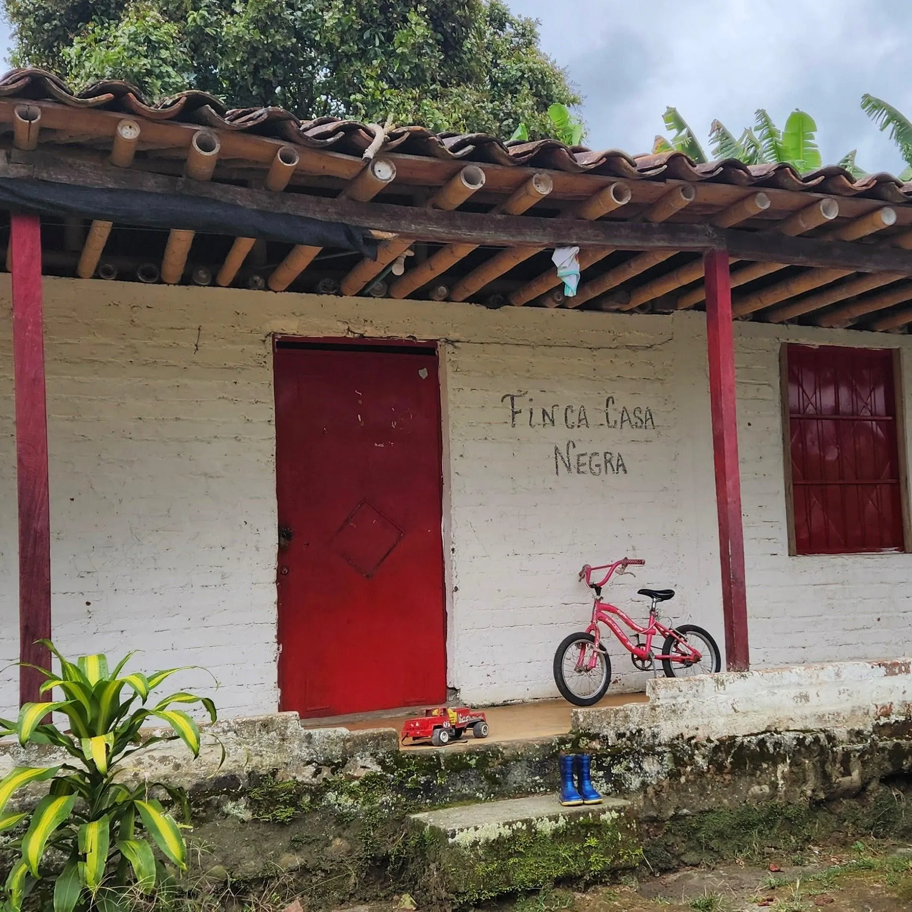 CASA NEGRA