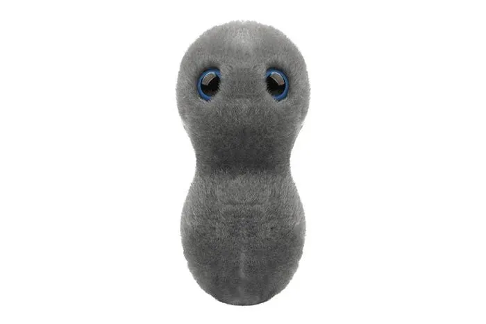 Clap - Gonorrhea (Neisseria gonorrhoeae) Giant Microbes Plush