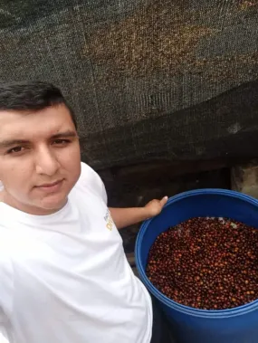 Colombia El Diviso Sidra Anaerobic Natural          Filter