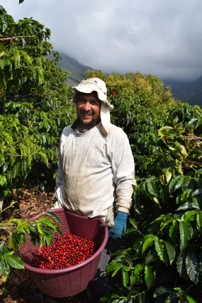 Costa Rica Don Claudio Natural      Filter