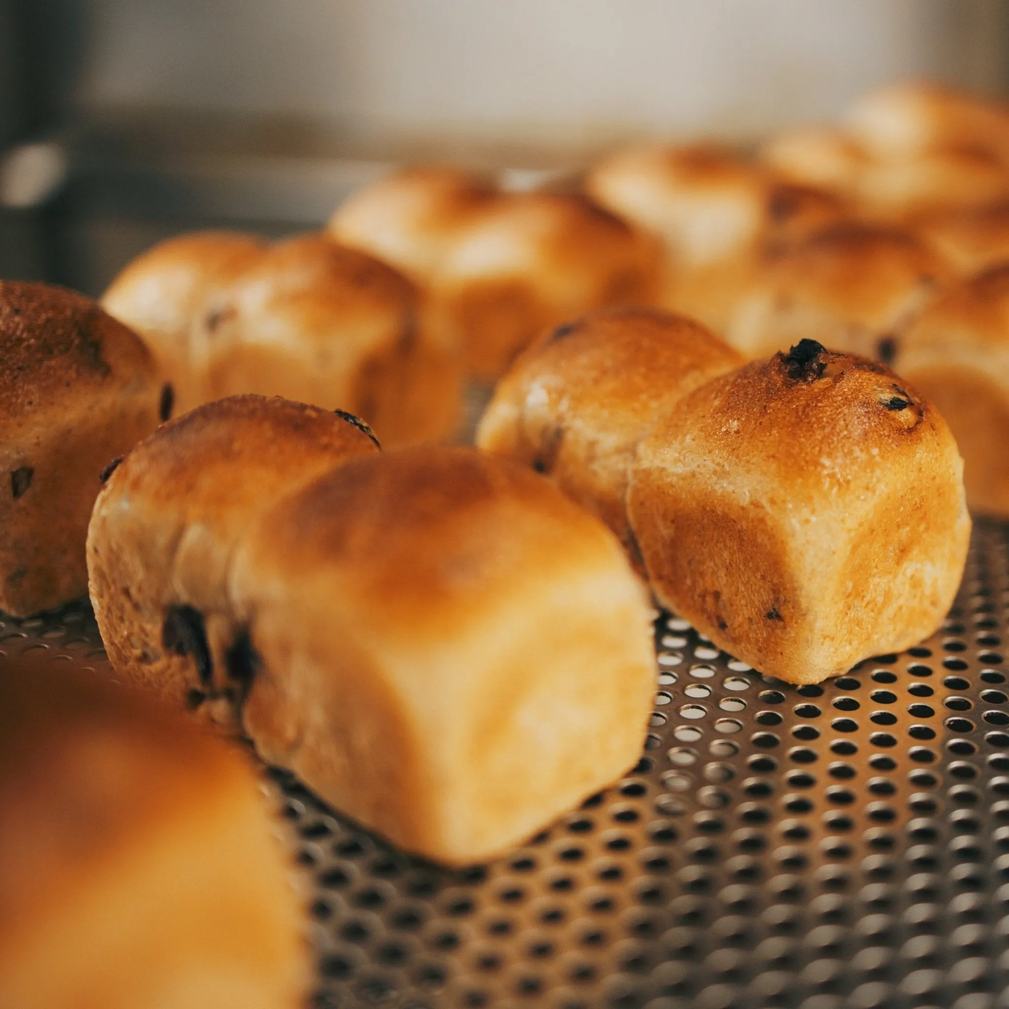 Cranberry & Honey Bread