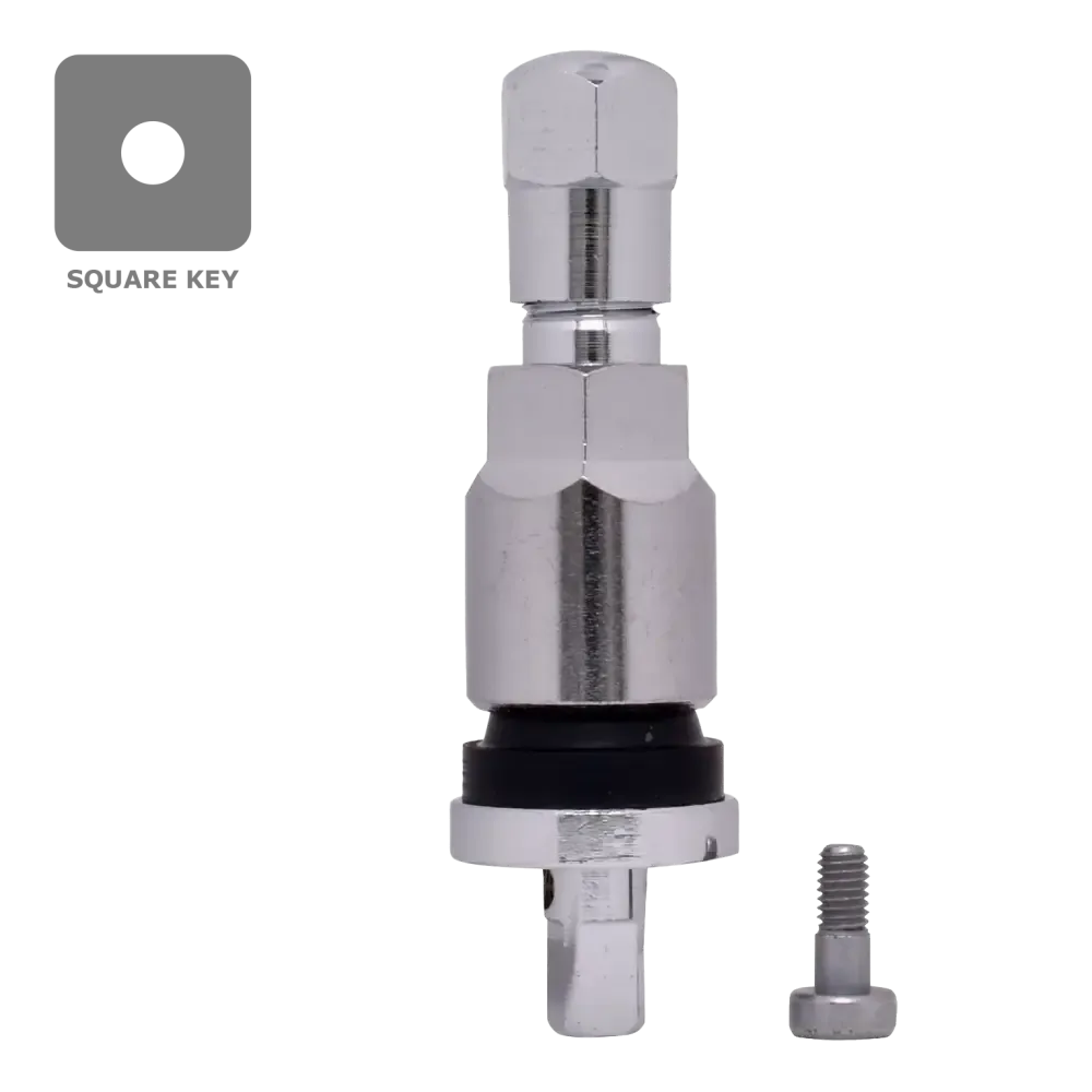 Dill VS925C TPMS Chrome Stem Service Kit for GM, , //,