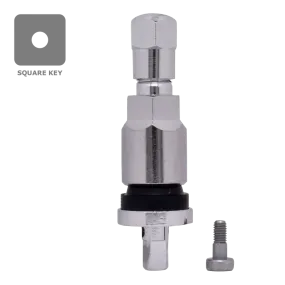 Dill VS925C TPMS Chrome Stem Service Kit for GM, , //,
