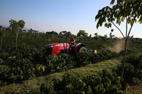 El Salvador Emilio Lopez Caturra Natural   ESPRESSO