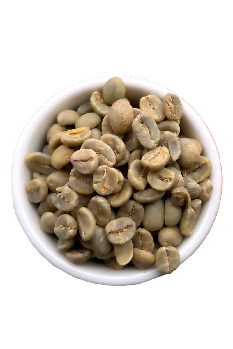 El Salvador Finca Cascada Specialty un-roasted Coffee Beans, Kenya SL-34, Washed  - Retail