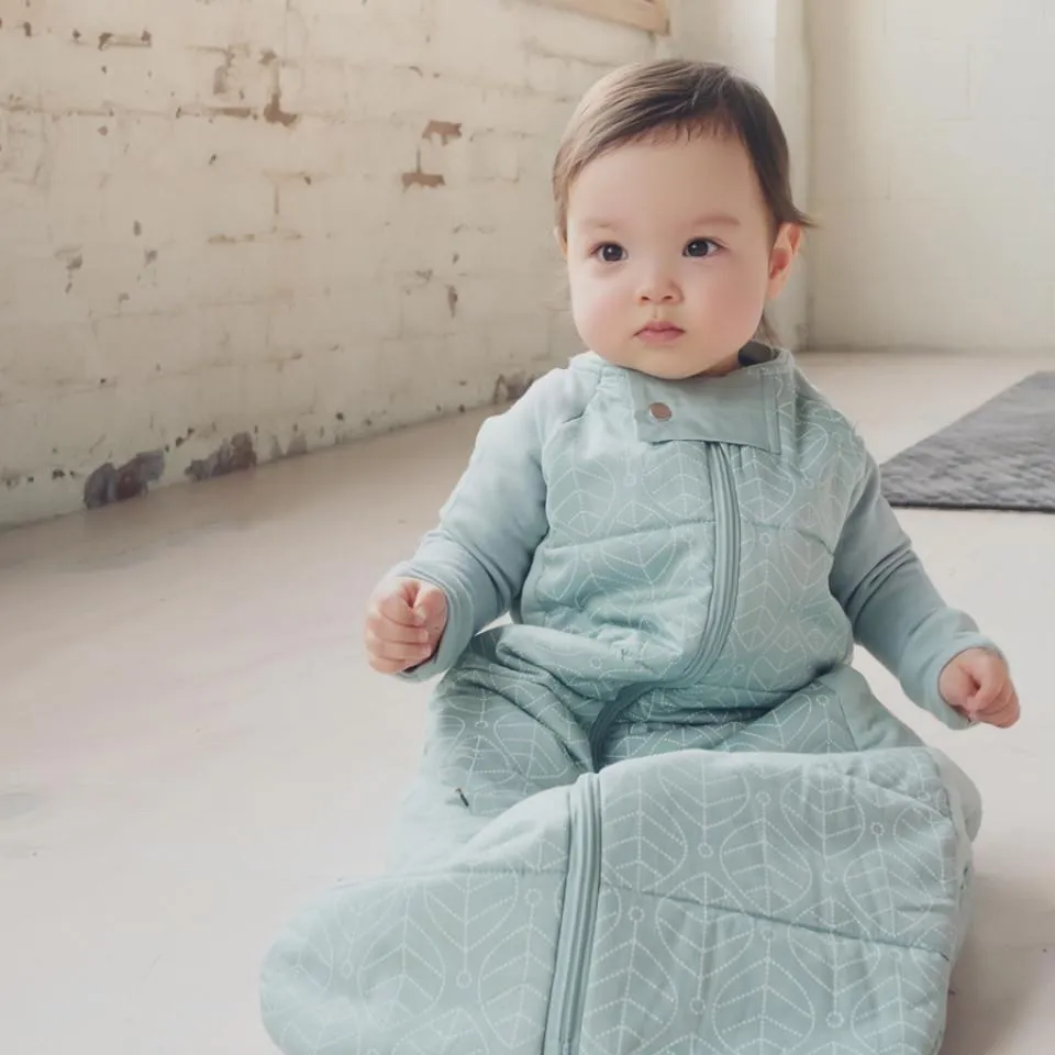 ErgoPouch Sleep Suit Bag 3.5tog