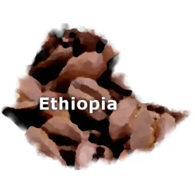 Ethiopian Sidamo Coffee