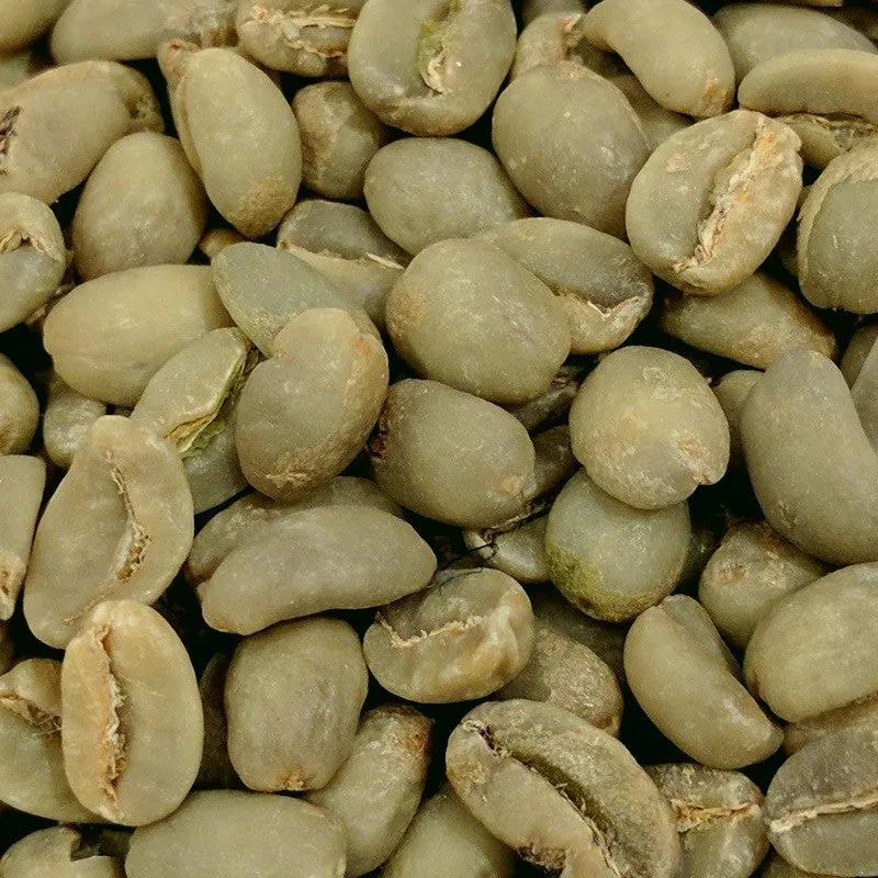 Ethiopian Yirgacheffe Fair Trade Organic Green Coffee
