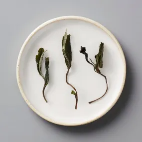 FUDING BAI MUDAN | white