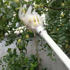 Garden Fruit picker