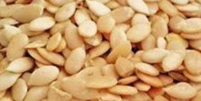Melon Seeds