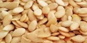 Melon Seeds