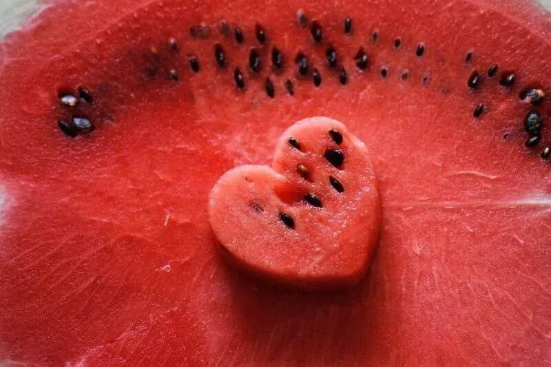 Melon Seeds
