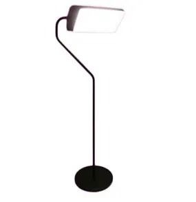 NLT Flamingo