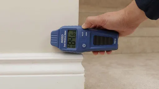 REED R6018 Dual Moisture Meter